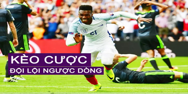 Kèo lội ngược dòng Cách nhận biết thời điểm vàng để bắt Kèo lội ngược dòng
