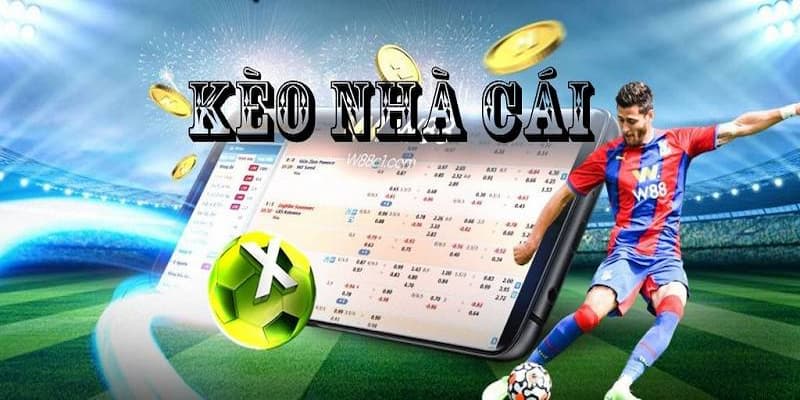 Tổng quan về Kèo nhà cái 5